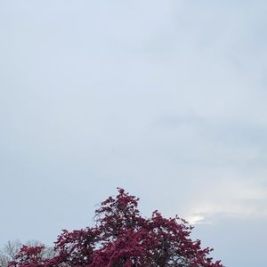 Meet your Posher, Rithesh